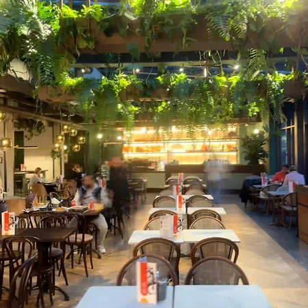 Wiedenski Premium Deluxe *